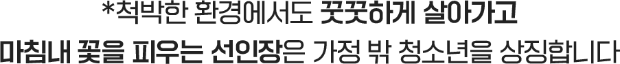 척박한 환경에서도 꿋꿋하게 살아가고 마침내 꽃을 피우는 선인장은 가정 밖 청소년을 상징합니다