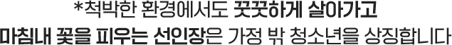 척박한 환경에서도 꿋꿋하게 살아가고 마침내 꽃을 피우는 선인장은 가정 밖 청소년을 상징합니다