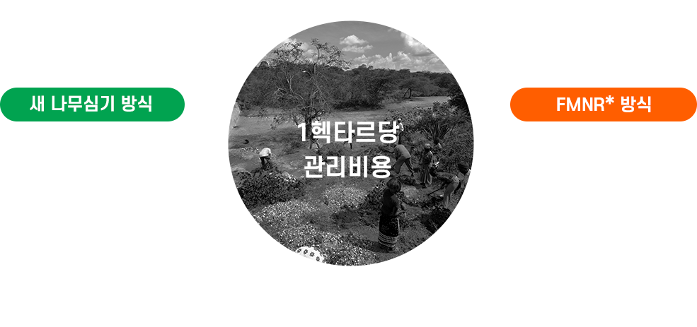 1��Ÿ���� �������- �� �����ɱ� ��� $400-8,000 ��ȭ �� 50����-1õ����, FMNR(�Ѹ�����)��� $40 (��ȭ �� 5����)