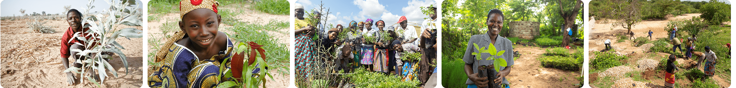 FMNR �۾����� ������ī �ֹε�