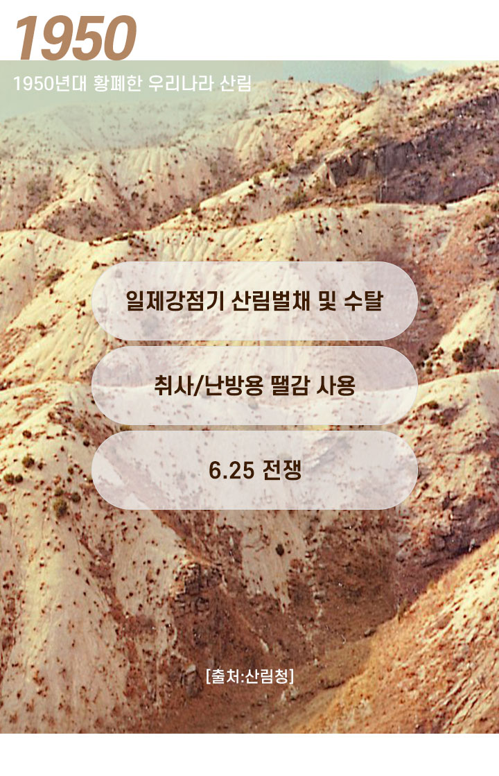 1950년대 황폐한 우리나라 산림 출처 산림청