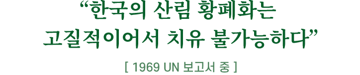 한국의 산림 황폐화는 고질적이어서 치유 불가능하다 1969 un 보고서중