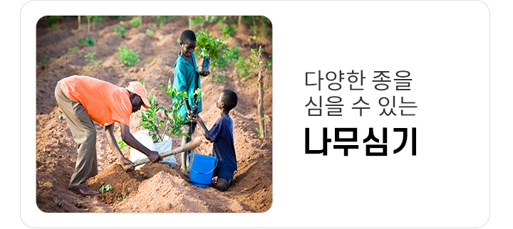 다양한 종을 심을 수 있는 나무심기
