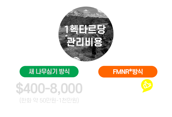 1헥타르당 관리비용 새나무심기 방식 400-8000달라 한화 약 50만원-1천만원, FMNR뿌리관리방식 40달라 한화 약 5만원