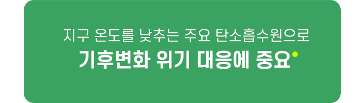 지구 온도를 낮추는 주요 탄소흡수원으로 기후변화 위기대응에 중요