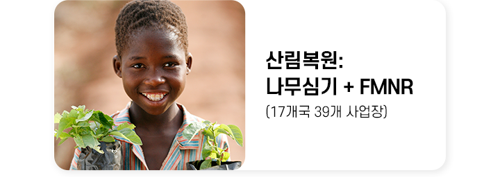 산림조성:나무심기+FMNR 17개국 39개 사업장