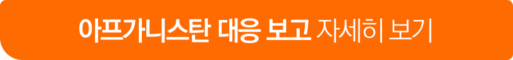 아프가니스탄 대응 보고 자세히 보기