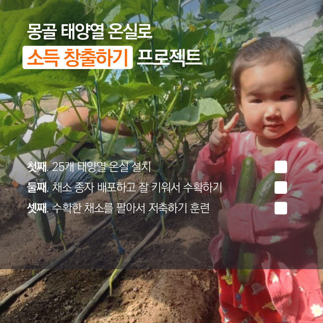 “후원자님이 함께 해주신” 태양열 온실로 소득창출하기  프로젝트 첫째. 25개 태양열온실 설치 둘째. 채소종자 배포하고 잘 키워서 수확하기 셋째. 수확한 채소를 팔아서 저축하기훈련
