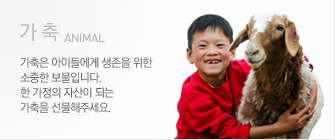 ������ ���̵鿡�� ������ ���� ������ �����Դϴ�. �� ������ �ڻ��� �Ǵ� ������ �������ּ���.