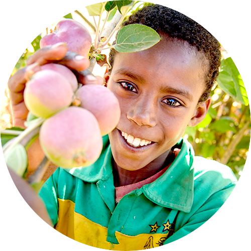 ���Ǽ��� ��� ���� ����