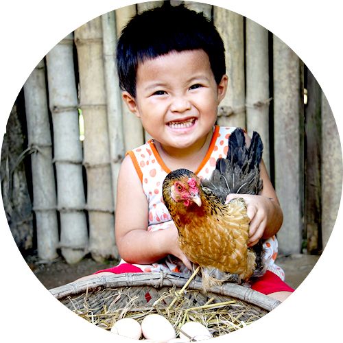 ���� �� ����