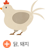 ��, ���� �󼼺���