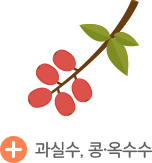 ���Ǽ�, ��, ������ �󼼺���