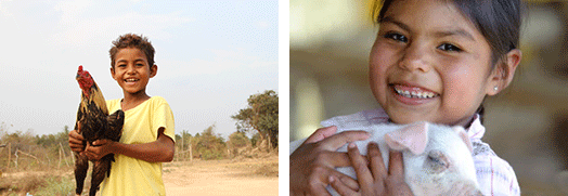 ��, ����